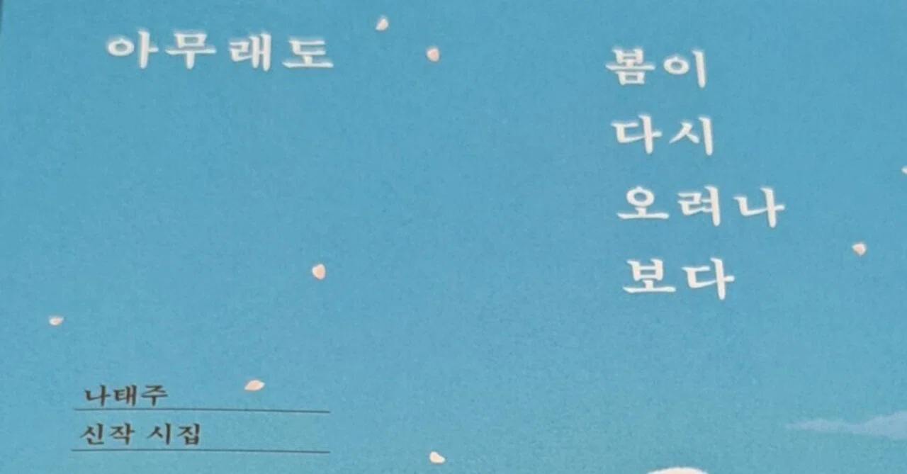 韓国で買った本～詩集～｜うり uri 우리