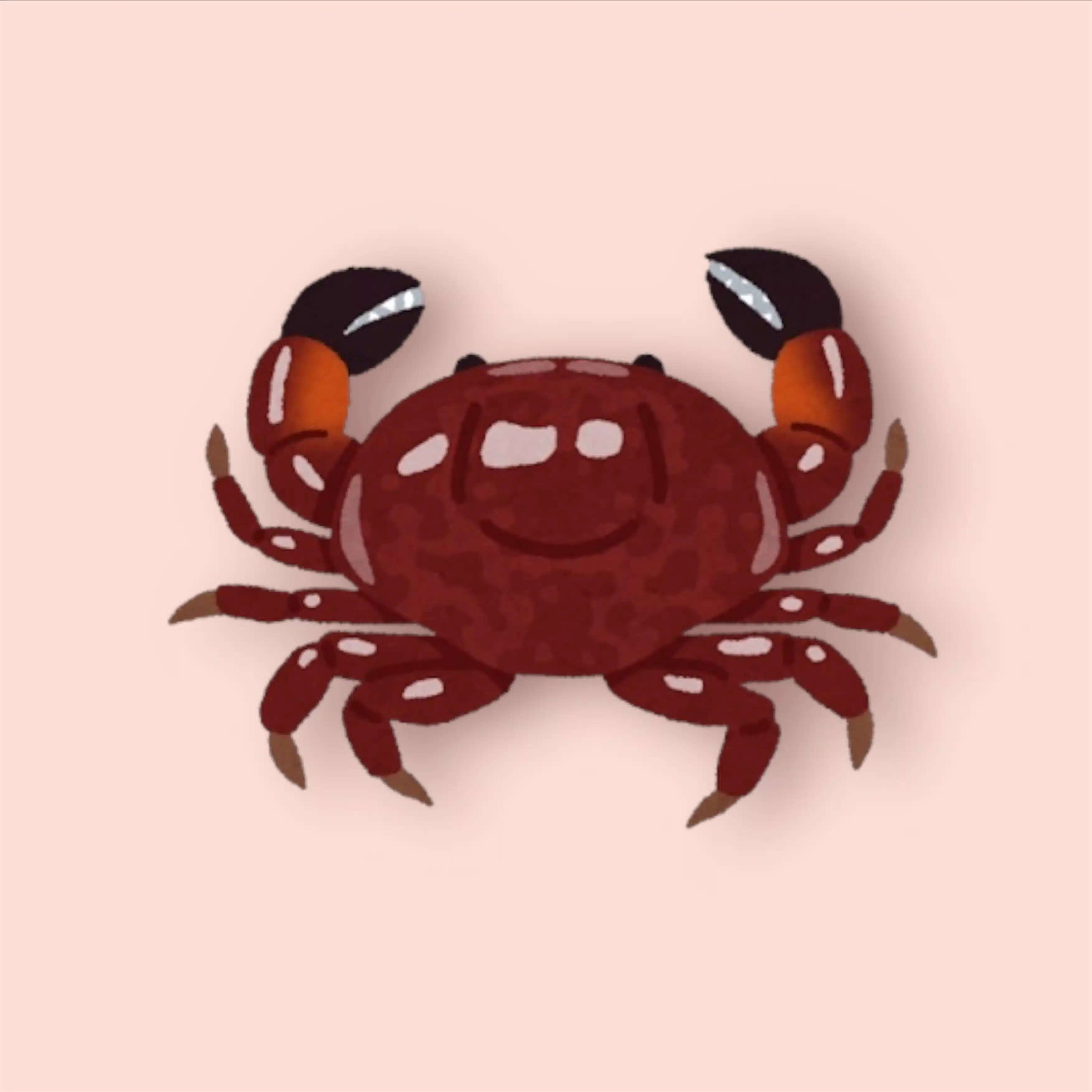 ガサガサマンジュウガニ