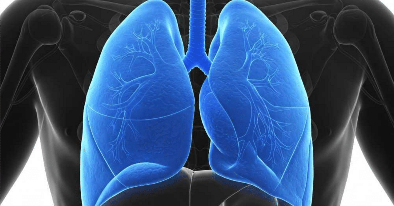 研修医向け呼吸器内科参考書｜どろっぷ