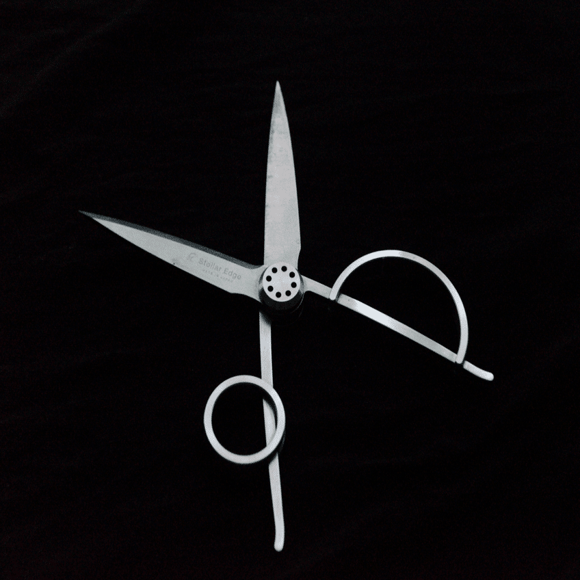 Stellar Edge SC01 ｜鴇