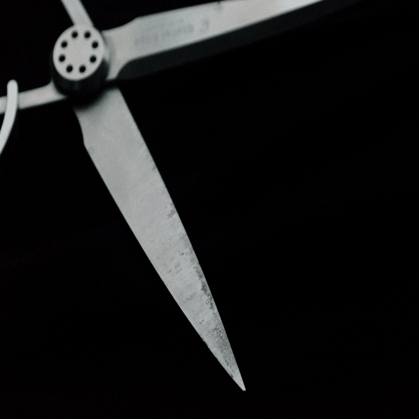 Stellar Edge SC01 ｜鴇