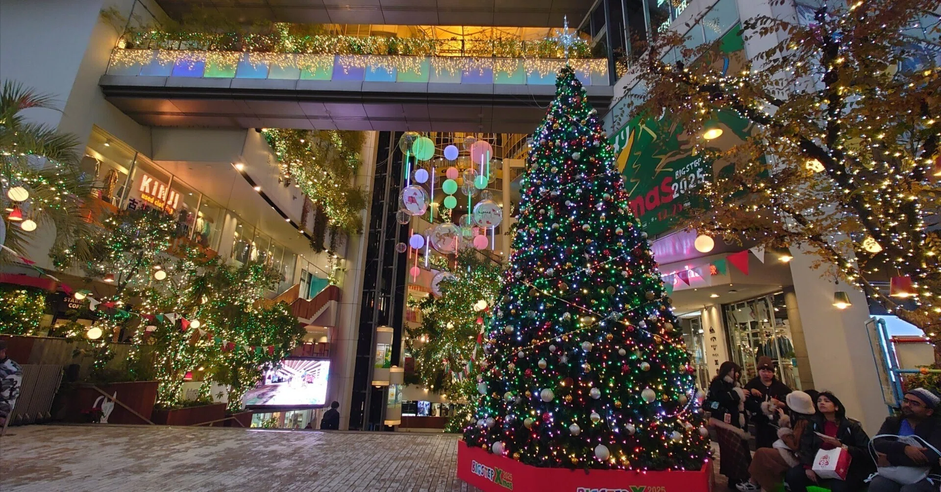 心斎橋ビッグステップ2025年11月22日｜レタス
