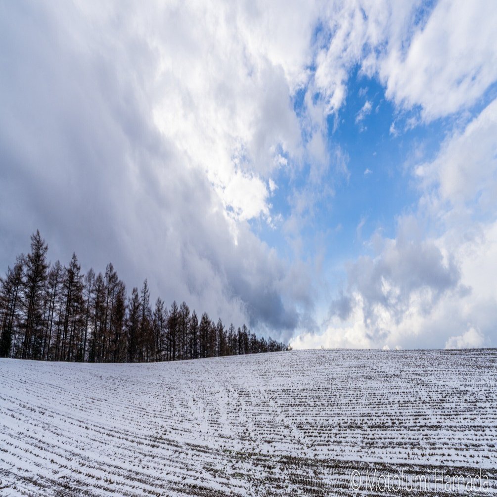冬の初めの風景を探してみた｜浜田 元史 Hamada. Motofumi