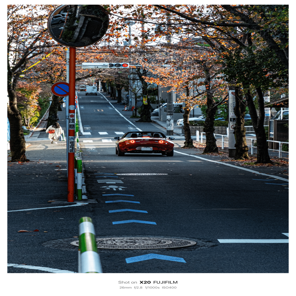 見つめる写真｜リリーさん