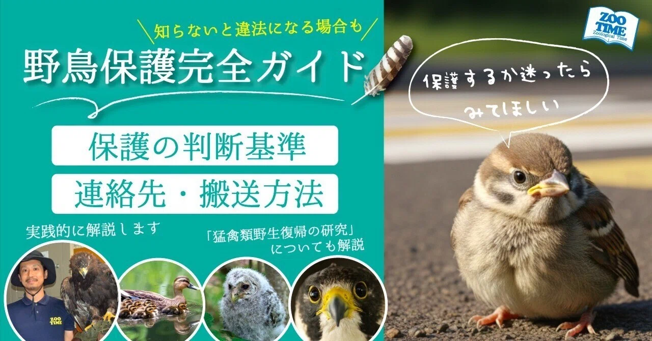 Complete Guide to Wild Bird Protection】Check this if you're