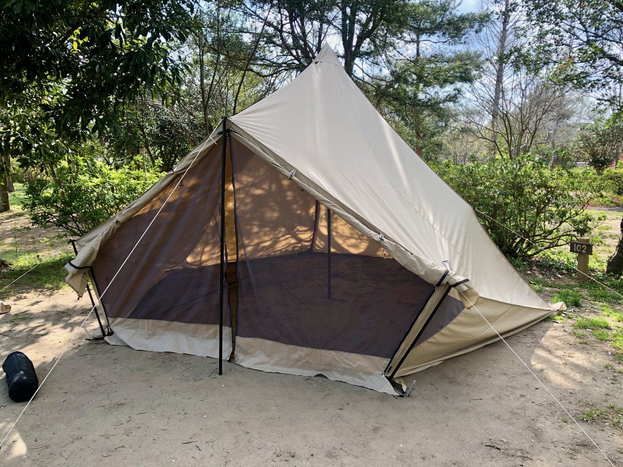 SABBATICAL モーニンググローリーSynthetic 新品未使用