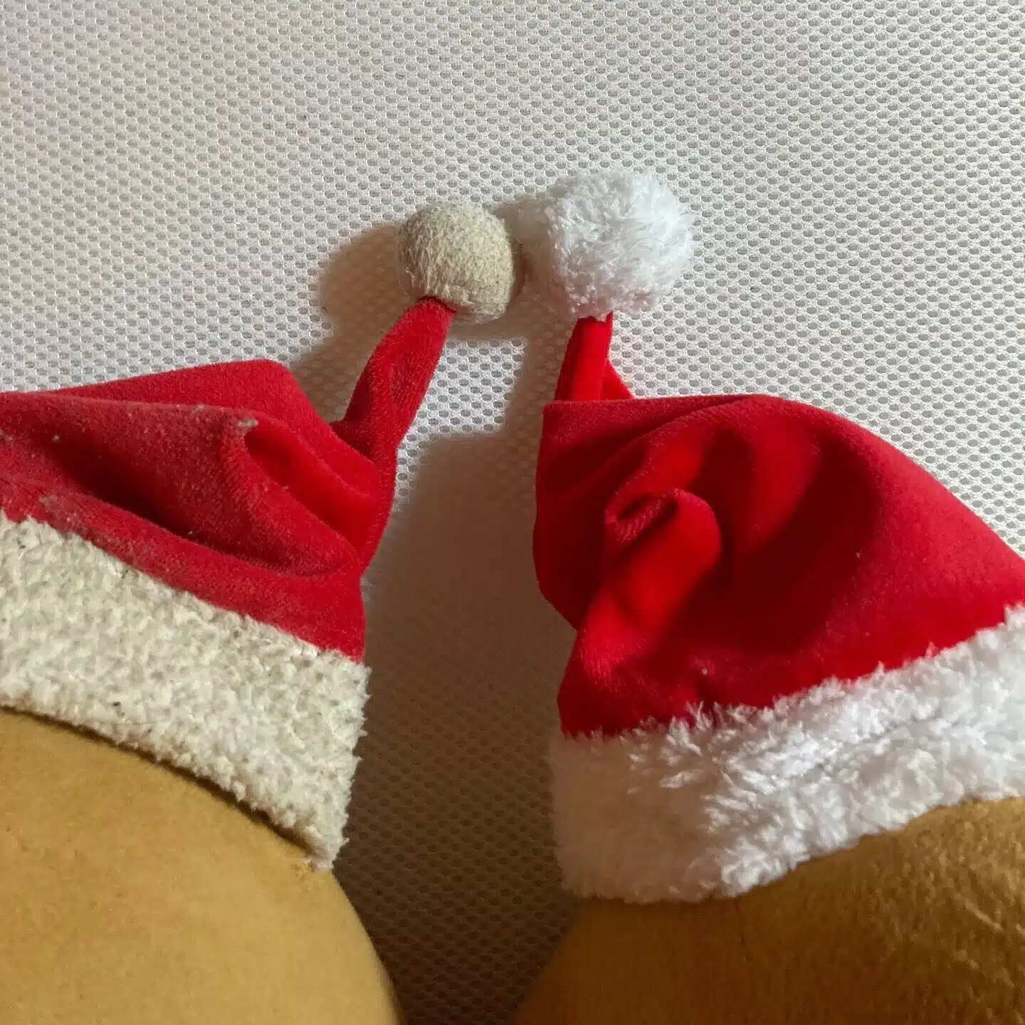たぬねこまる《HSS型HSE 左利き》