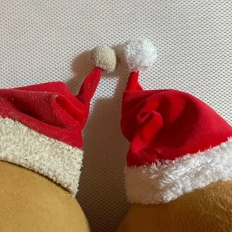 たぬねこまる《HSS型HSE 左利き》