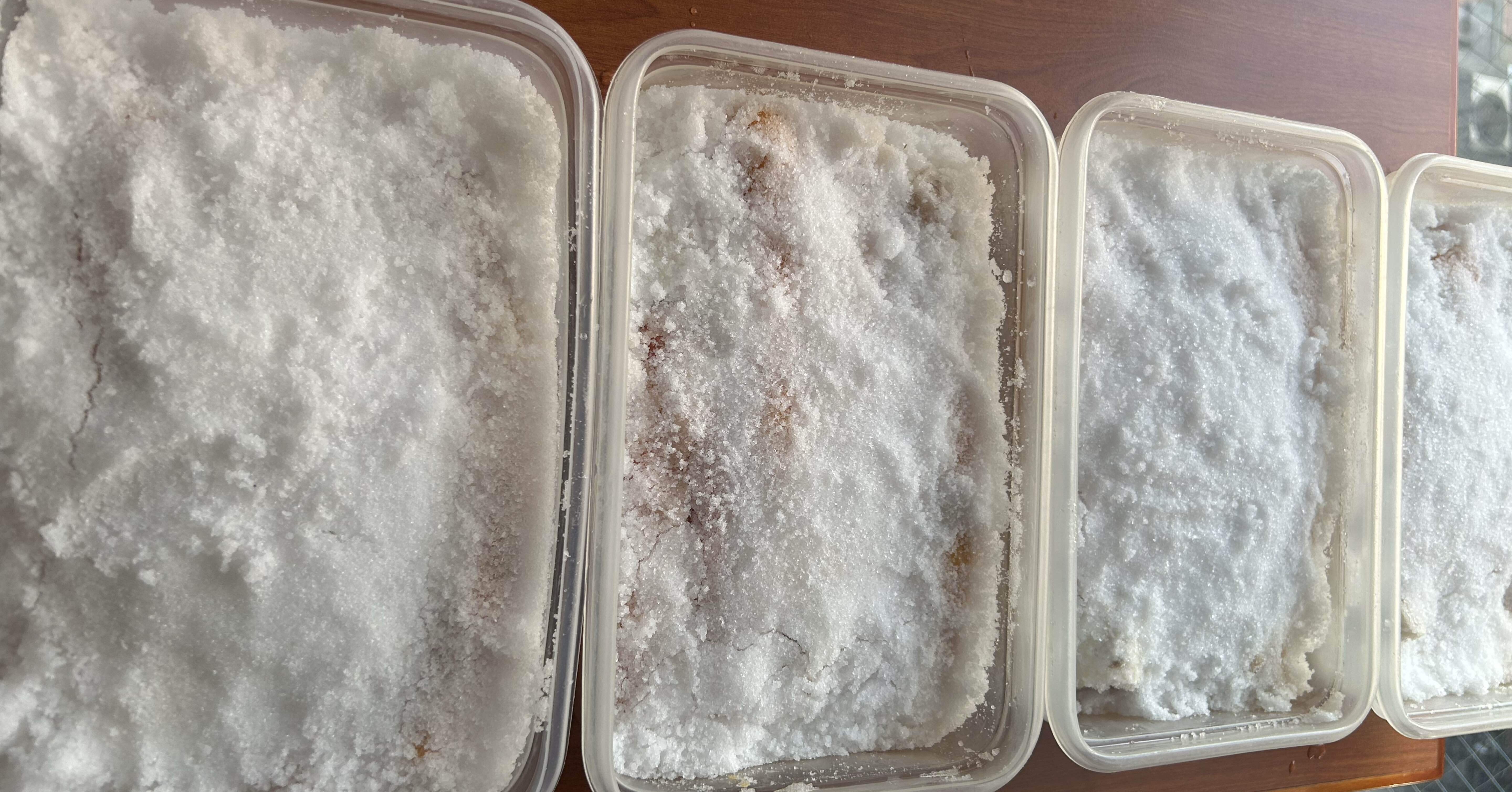 からすみの仕込み2025（塩漬け）｜ワンオペ食堂てんてんてん