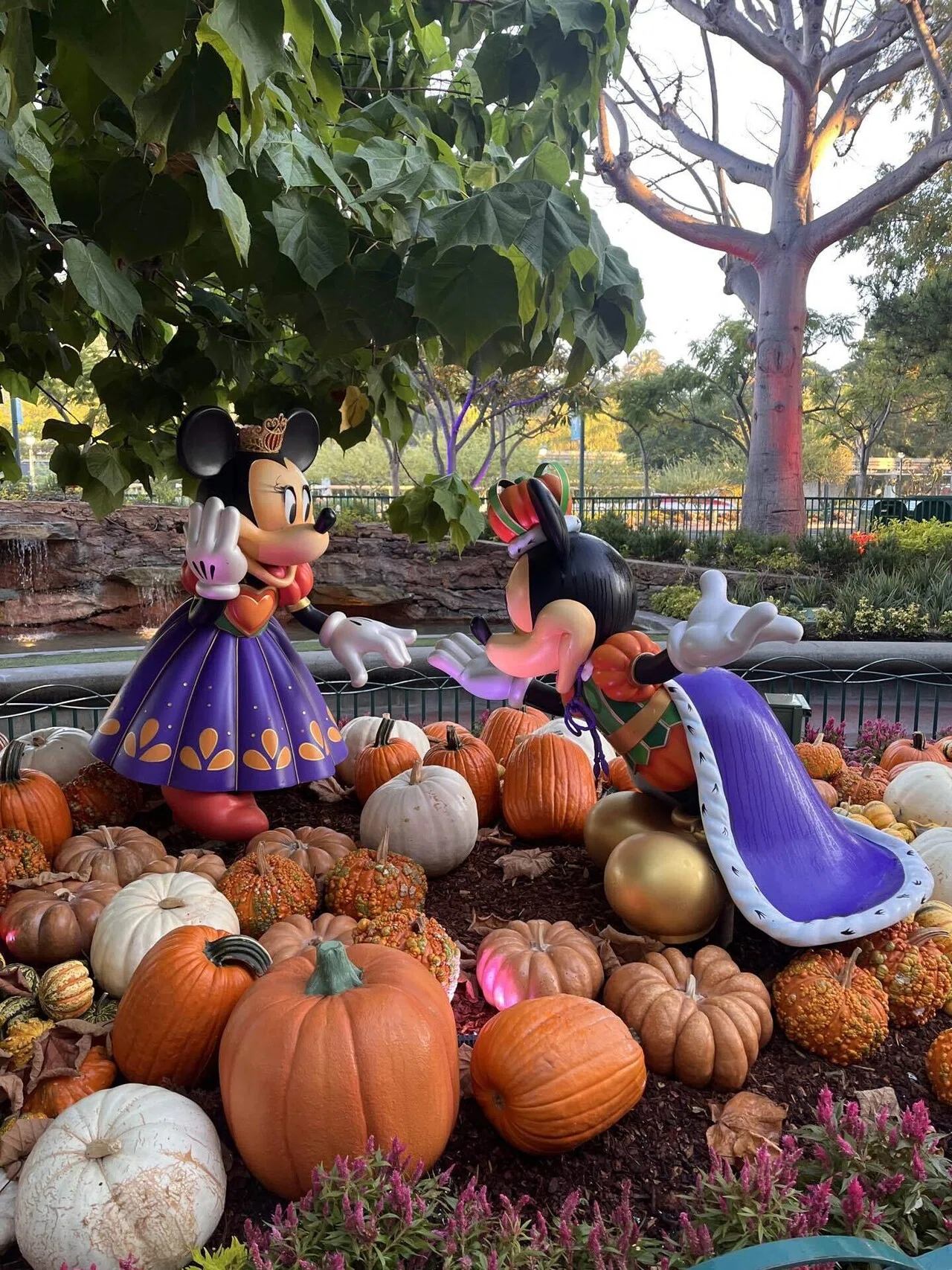 LA旅行記 #Day2｜念願のスターウォーズ、祝70周年のカリフォルニア
