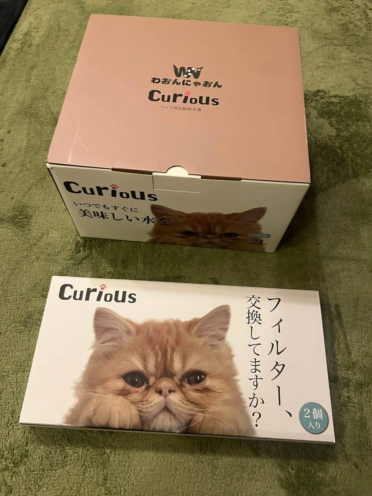 給水器物語】Curiousに買い替えたら、猫様が全拒否！飼い主涙目｜みそ