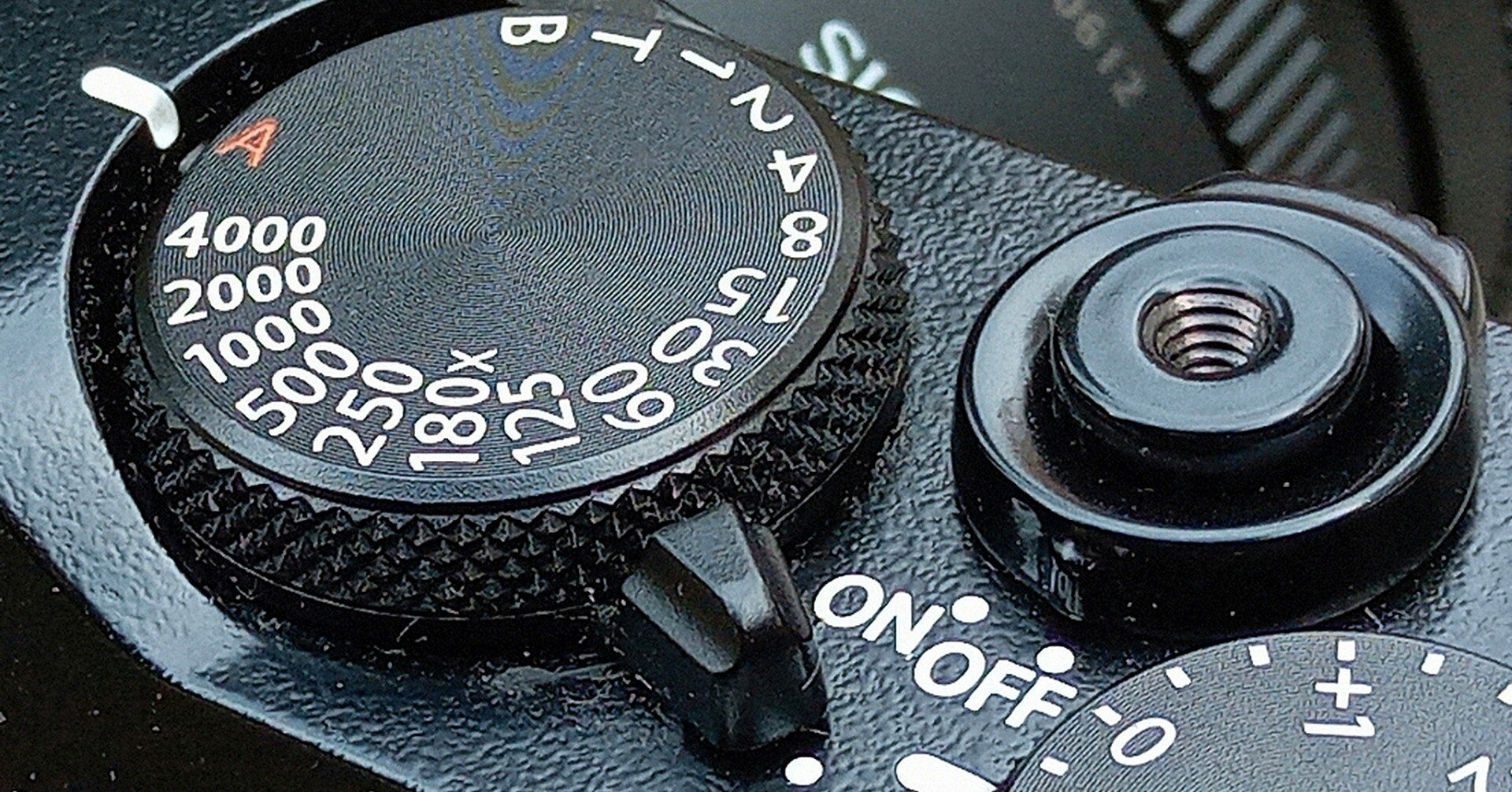 遥か彼方｜葉っぱの人