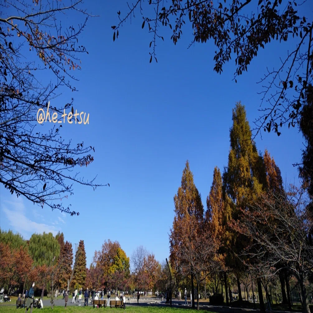 見沼 代 親水 公園