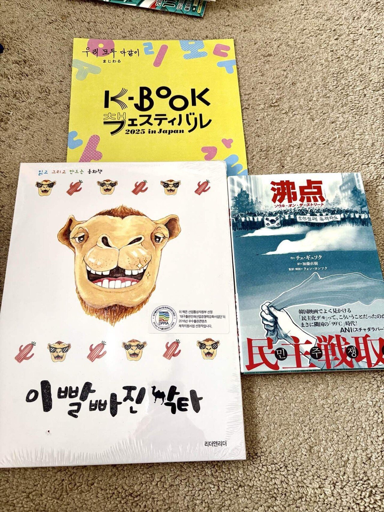 テーマは『韓国』だったのかもしれない③｜楪 若葉