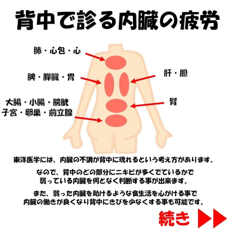 背中にきびの原因は内臓の疲労 避けるべき食べ物とは Revisionginza Note