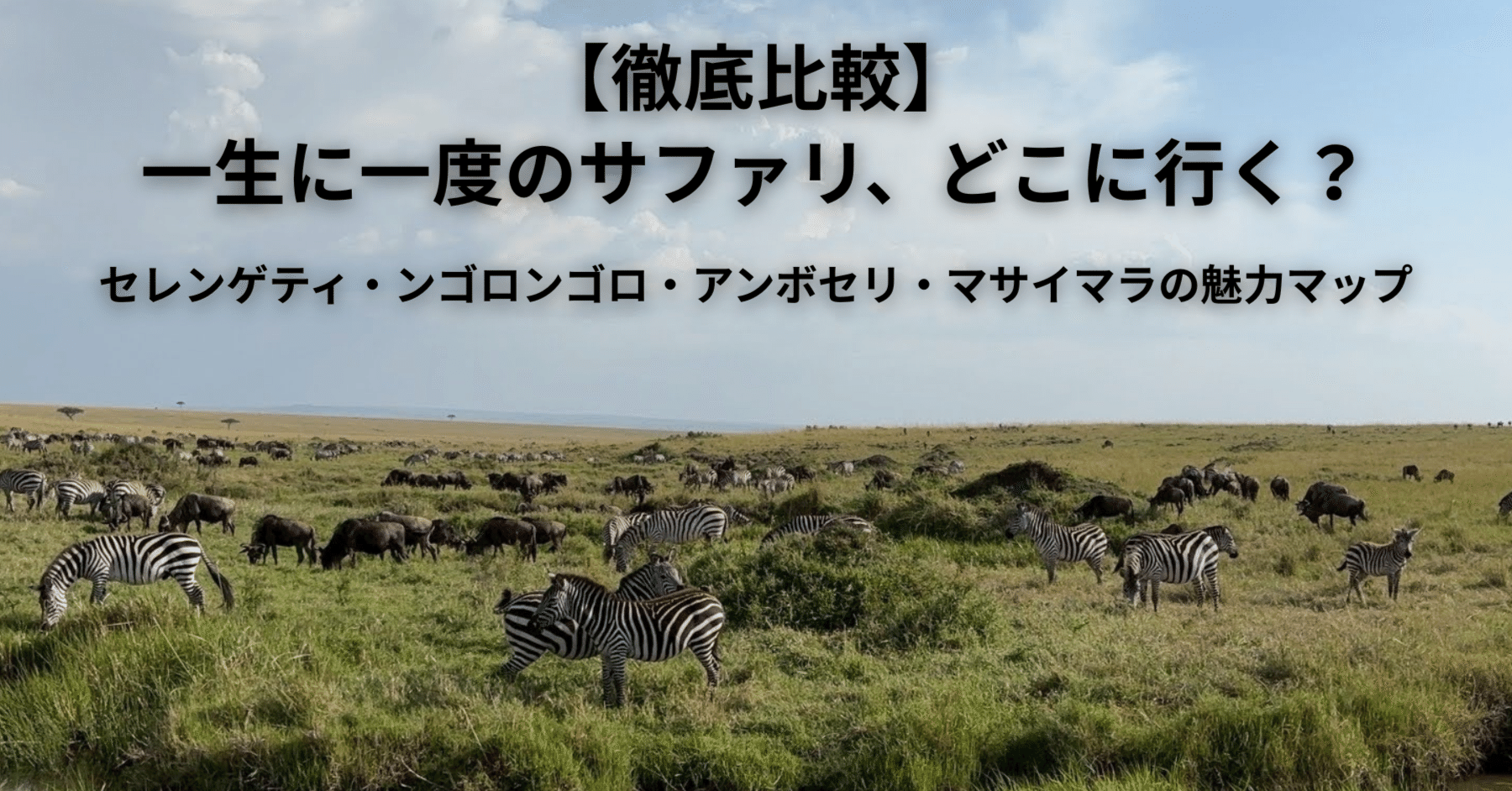 アフリカサファリ徹底比較】一生に一度のサファリ、どこに行く