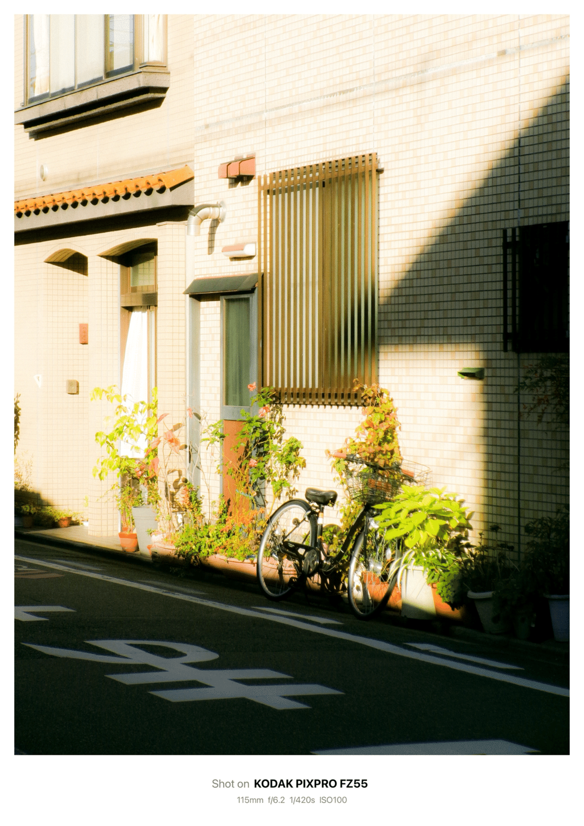 Photo Diary #9 -FZ55 作例-｜唯野みりん