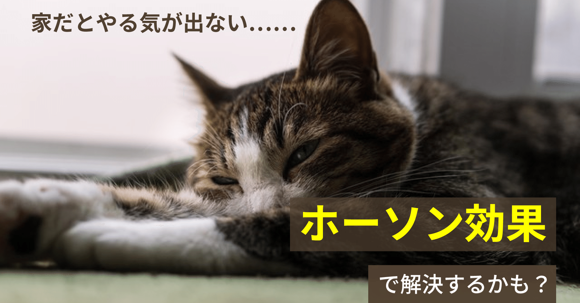 ホーソン効果 Zawa Works Note
