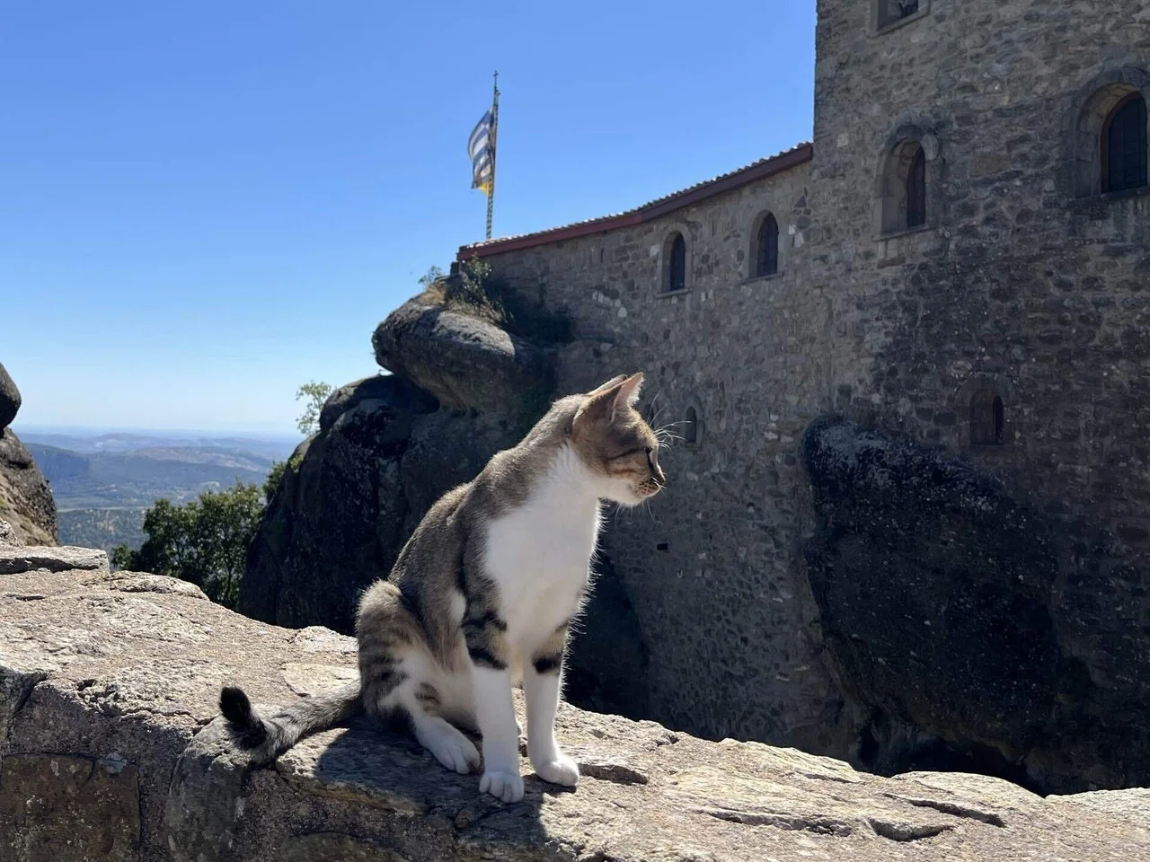 メテオラ、岩の上に建つ修道院群🇬🇷｜羊