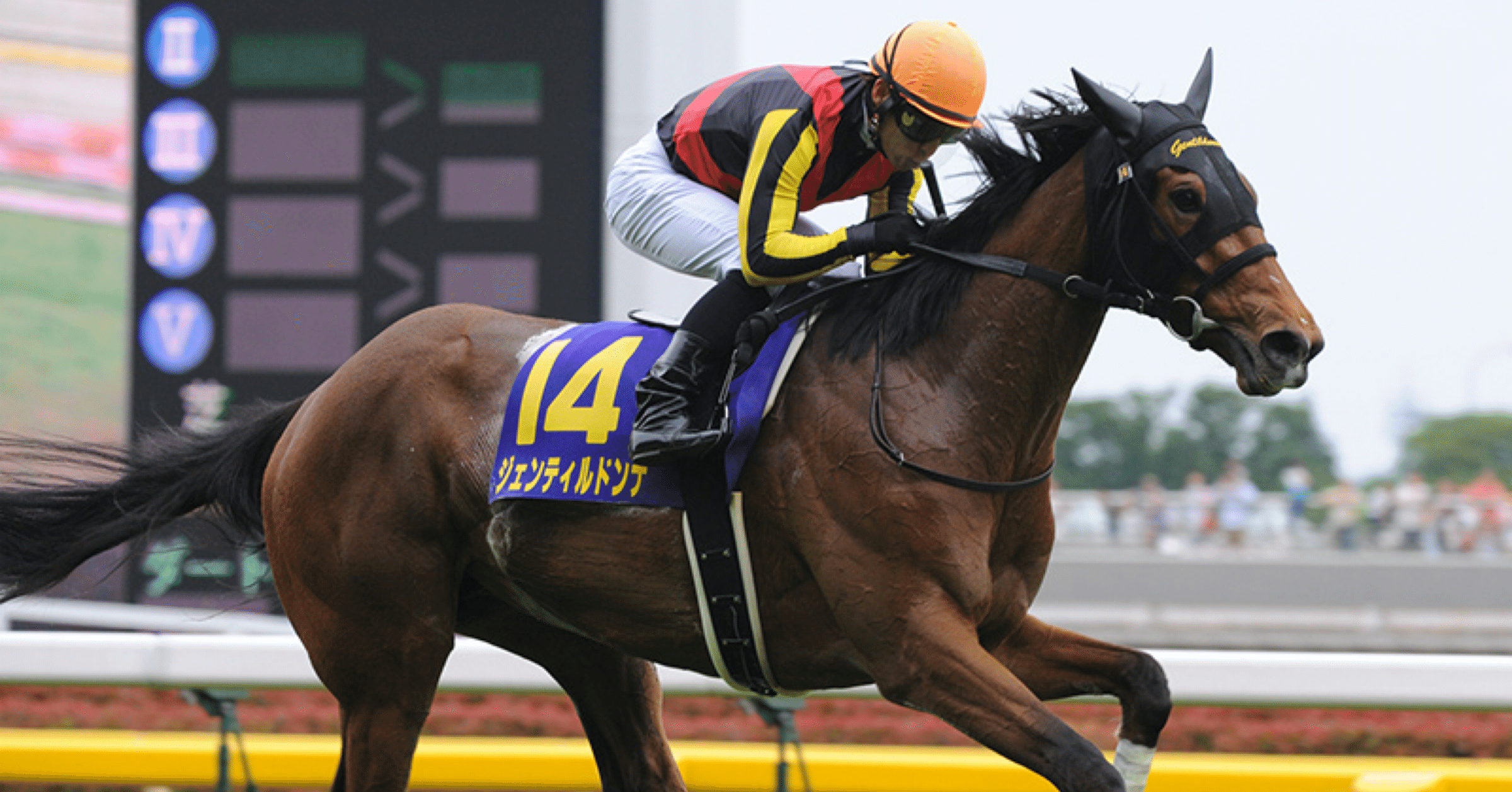 ジェンティルドンナ物語 × JC2025】──“疑われた才能が歴史を変える ジェンティルドンナ物語 × JC2025】──“疑われた才能が歴史を変える