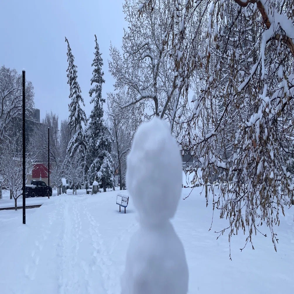 速報】カルガリーで大雪⛄❄️一晩で街中が白銀の世界に。カナダ