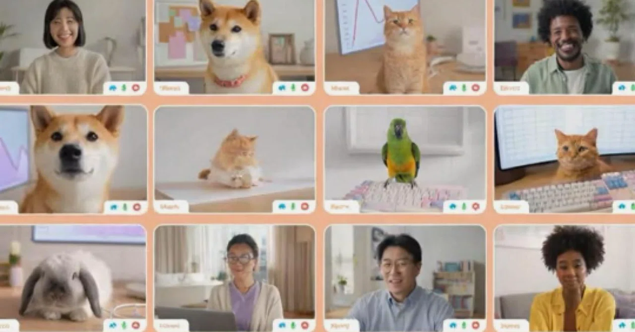 Remote work moments when pets help with real tasks在宅勤務でペットが仕事を手伝う瞬間たち재택 ...