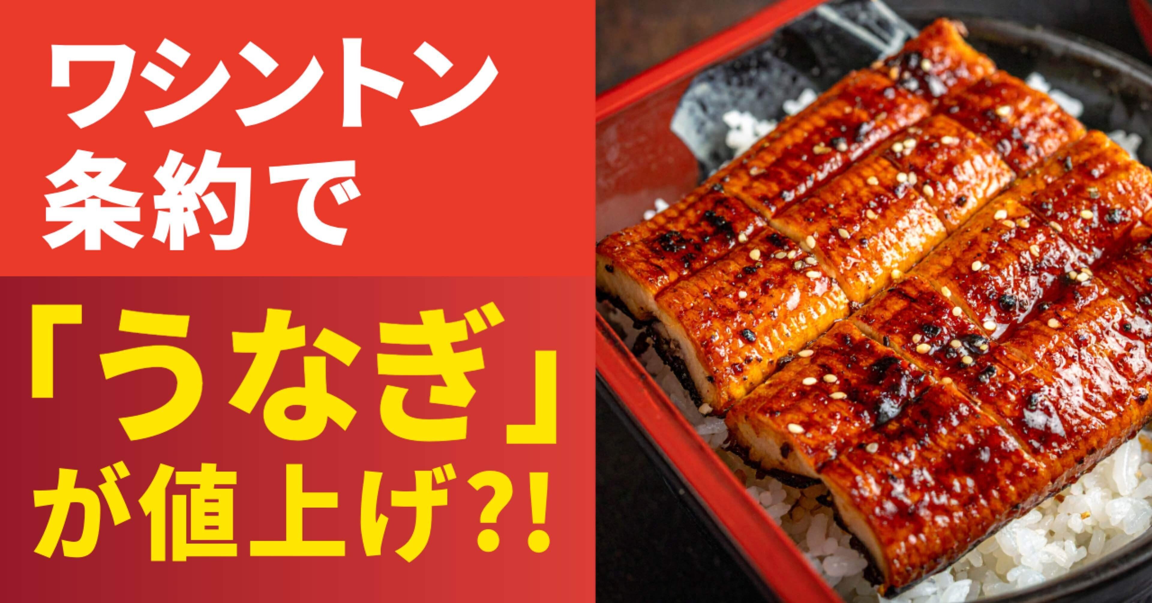 ⭐️ ワシントン条約で「うなぎ」が値上げ?!｜点と線ノート