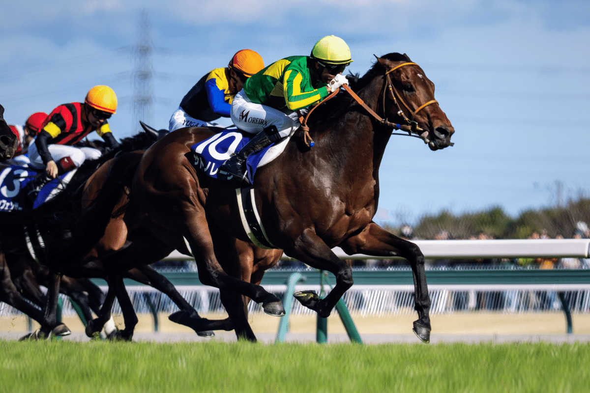 柵越しにローアングルで競馬写真を撮る際に意識していること｜Daigo