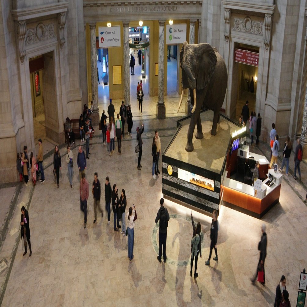 スミソニアンの博物館群を超速で巡る【ワシントンD.C.旅行記①