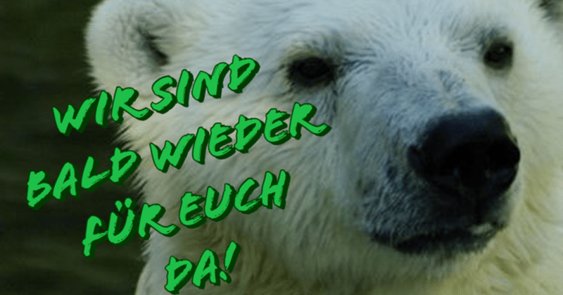 殺処分を防ごう ドイツのノイミュンスター動物園に寄付してみた Ryokoreme Note