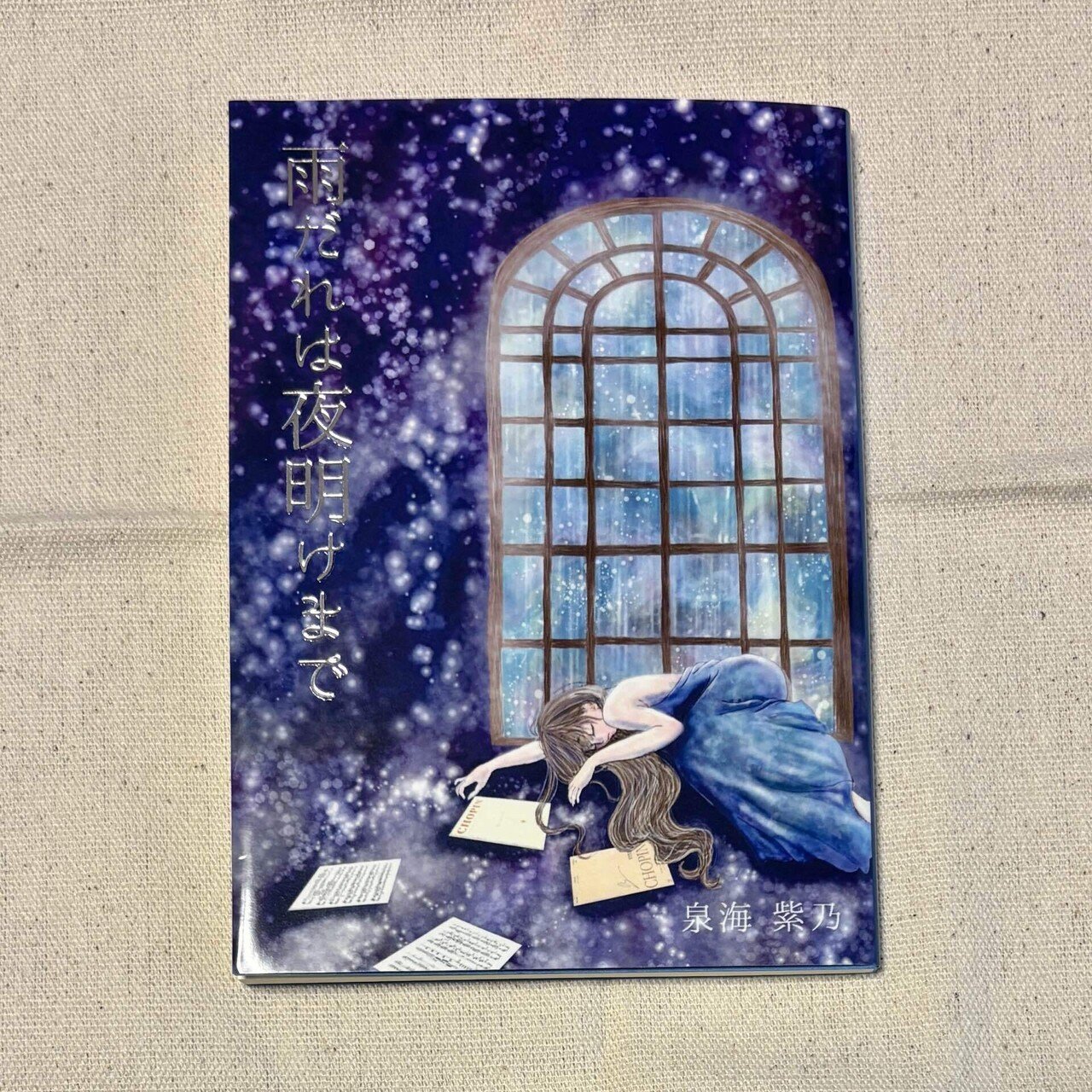 文学フリマで買った本｜2025.11.23｜藍沢紗夜