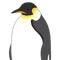ヲミク