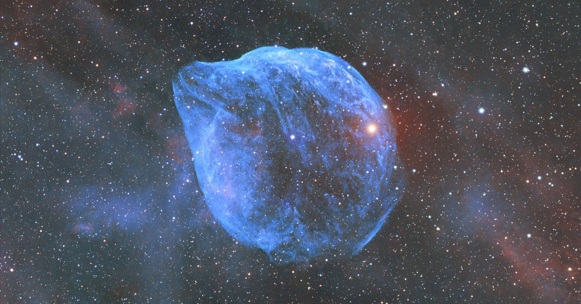 荒波の中のイルカ｜kiy0sh