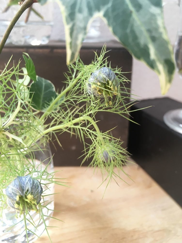 小瓶の花飾りとニゲラの話 花と日々 Yas Note