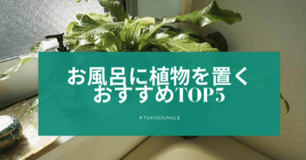 植物を愛でる お風呂に植物を置く おすすめtop5 Tokyojungle Tokyo Jungle 自宅植物園で自宅動物園な話 Note 植物を愛でる お風呂に植物を置く おすすめtop5 Tokyojungle Tokyo Jungle 自宅植物園で自宅動物園な話 Note