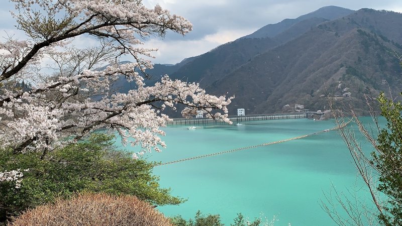 西多摩地域のおすすめ桜スポット 東京の里山 Satoyama Tokyo Note 西多摩地域のおすすめ桜スポット 東京の里山 Satoyama Tokyo Note