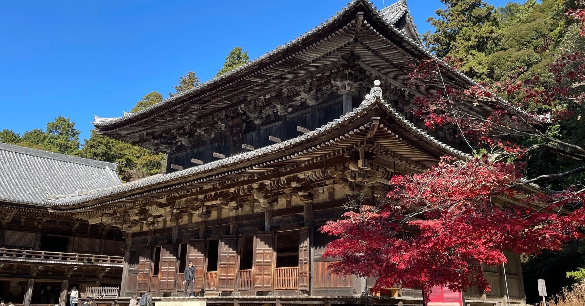 気ままにお散歩日記 〈兵庫の書写山と圓教寺〉｜あおと ゆう