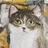 森山ねこたろう＠ステラーブックス