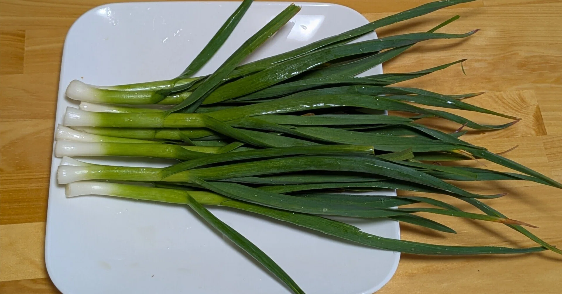 葉ニンニク Garlic leaves｜ジジ・ファーム