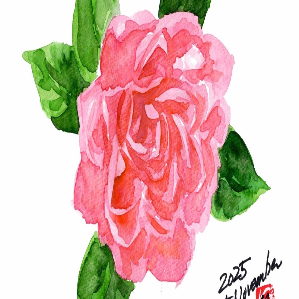 今日は、月に一度の絵手紙という事で｜kinta65