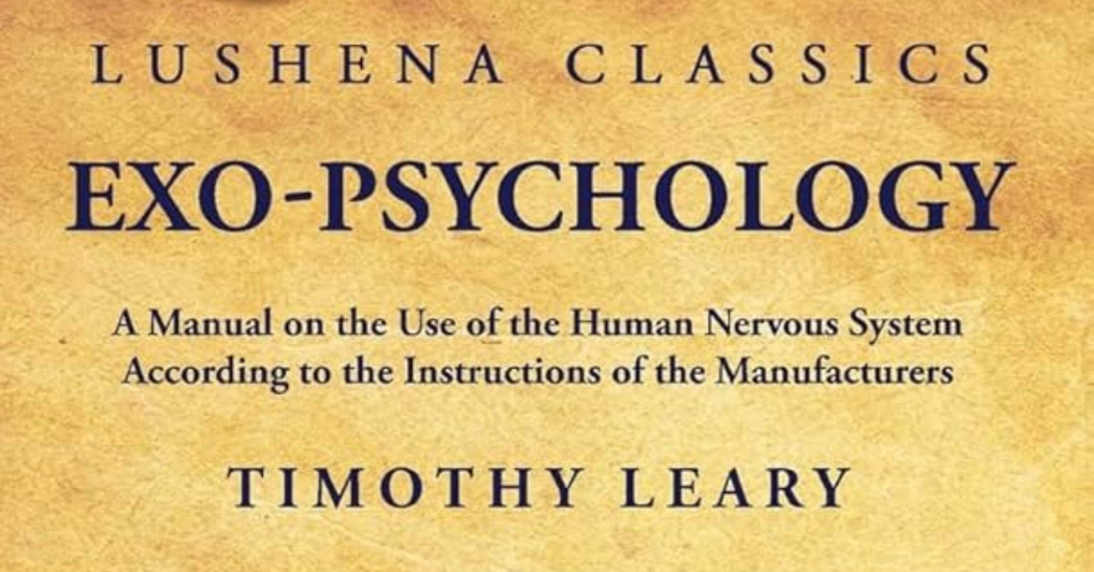 宇宙忍者の日記 2025/11/25④｜unique_bear7986