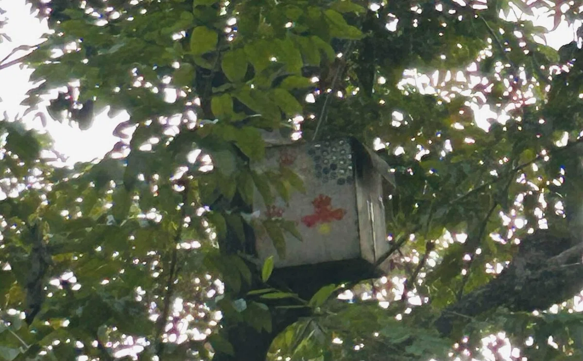 フクロウの巣箱