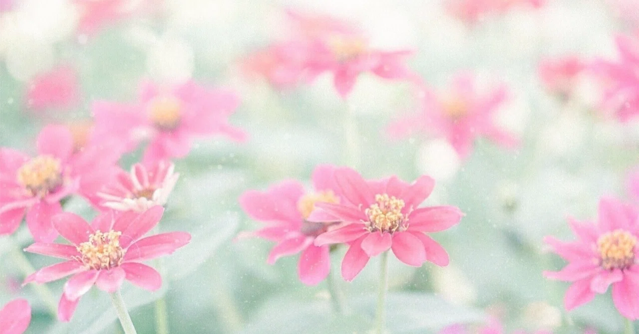 花華やぐも 散るは密やか（花開有時 頽靡無声）みたよ｜めぷ