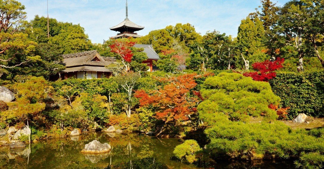 GR IIIx] 京都 紅葉を楽しむ｜Miyachi / 宮地