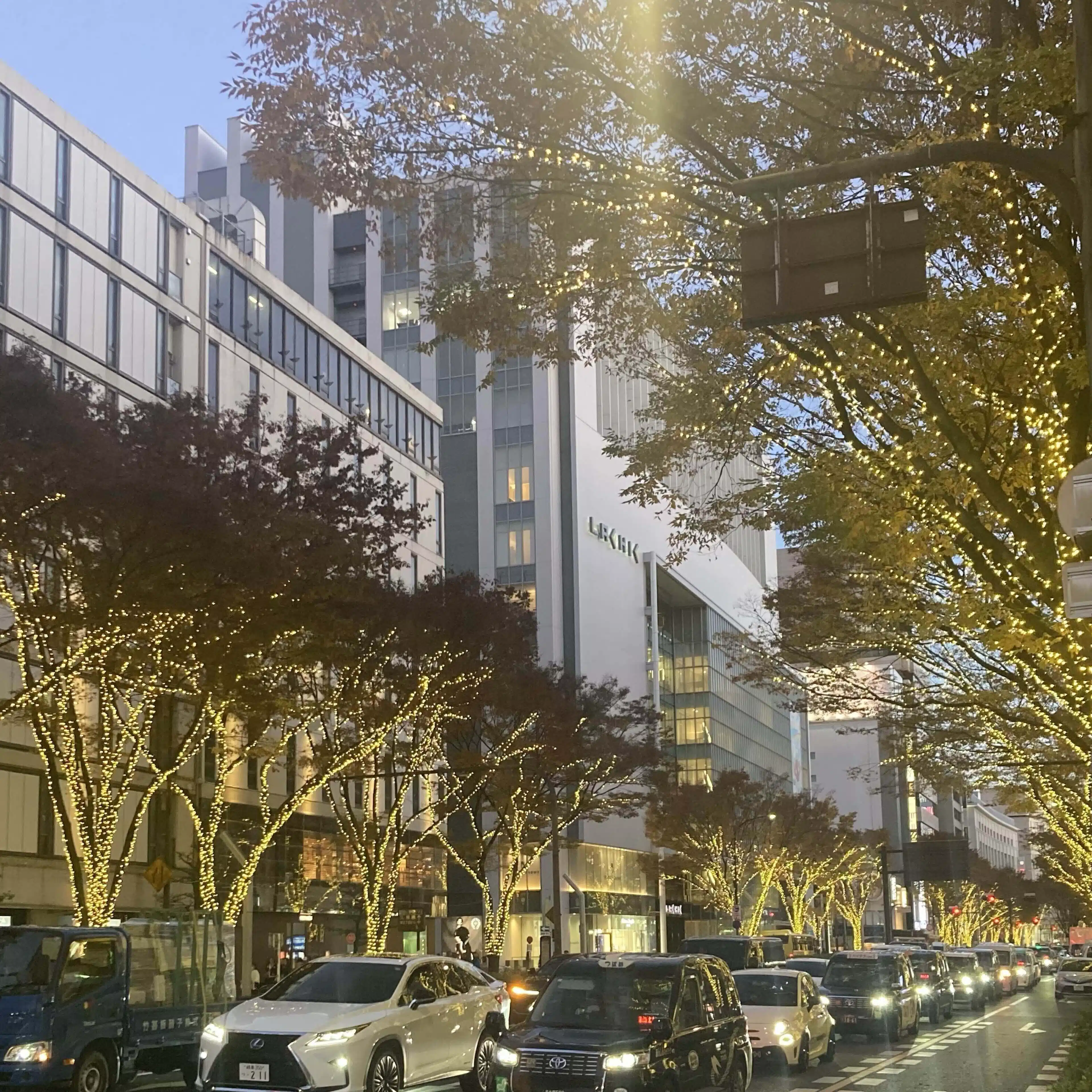 うずらの卵: MYG