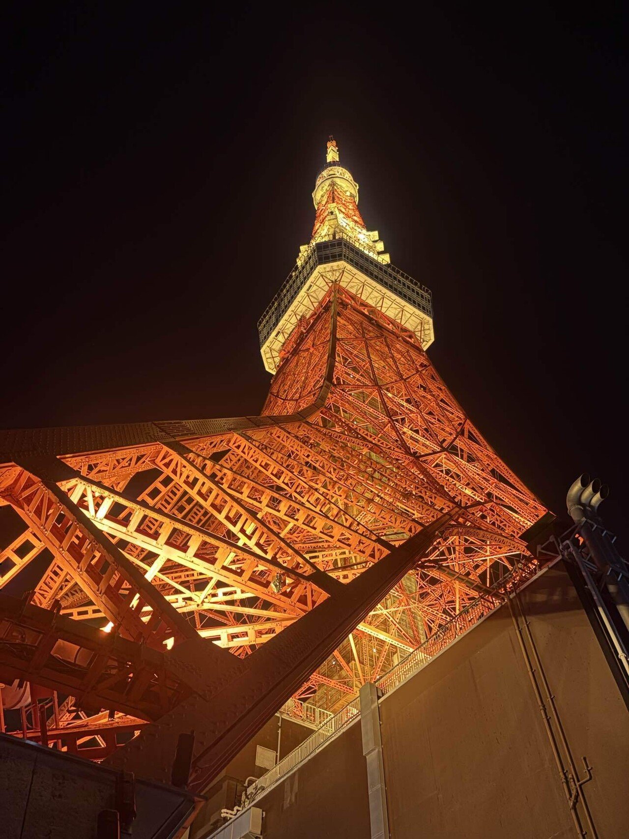 2025☆11☆25｜にこにこSUNちーむ😄☀️