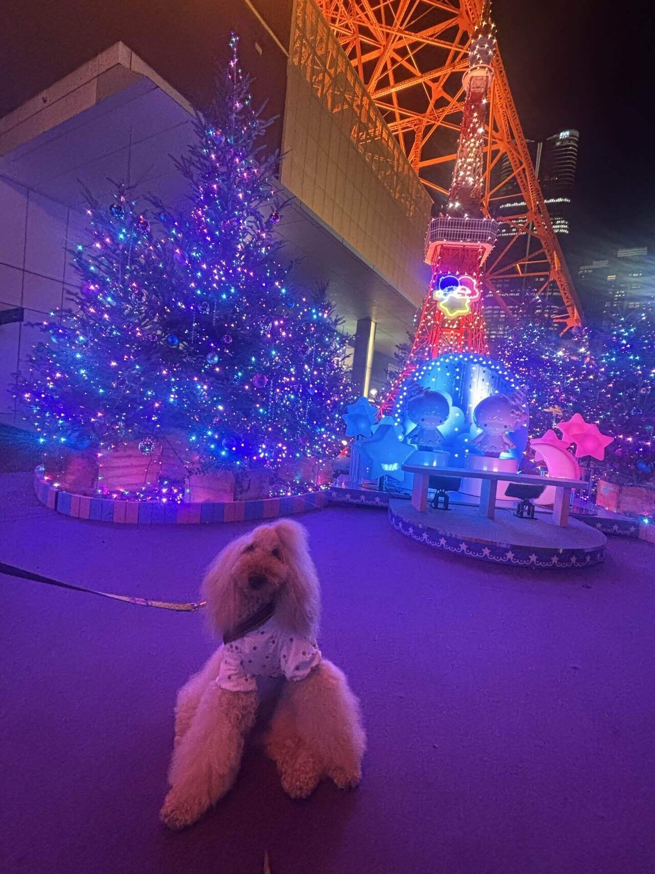 2025☆11☆25｜にこにこSUNちーむ😄☀️