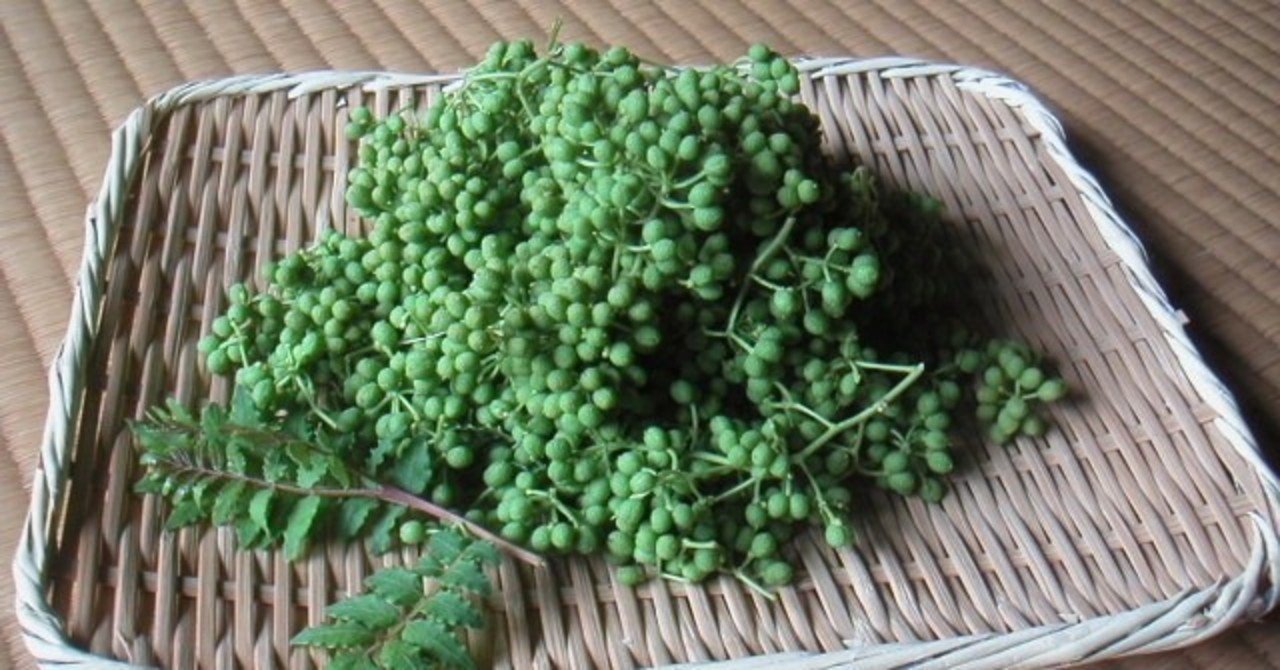 一年に一度切り 生鮮実山椒の予約注文承っています バイヤーの小部屋 Realjapanproject Co Ltd Note 一年に一度切り 生鮮実山椒の予約注文承っています バイヤーの小部屋 Realjapanproject Co Ltd Note