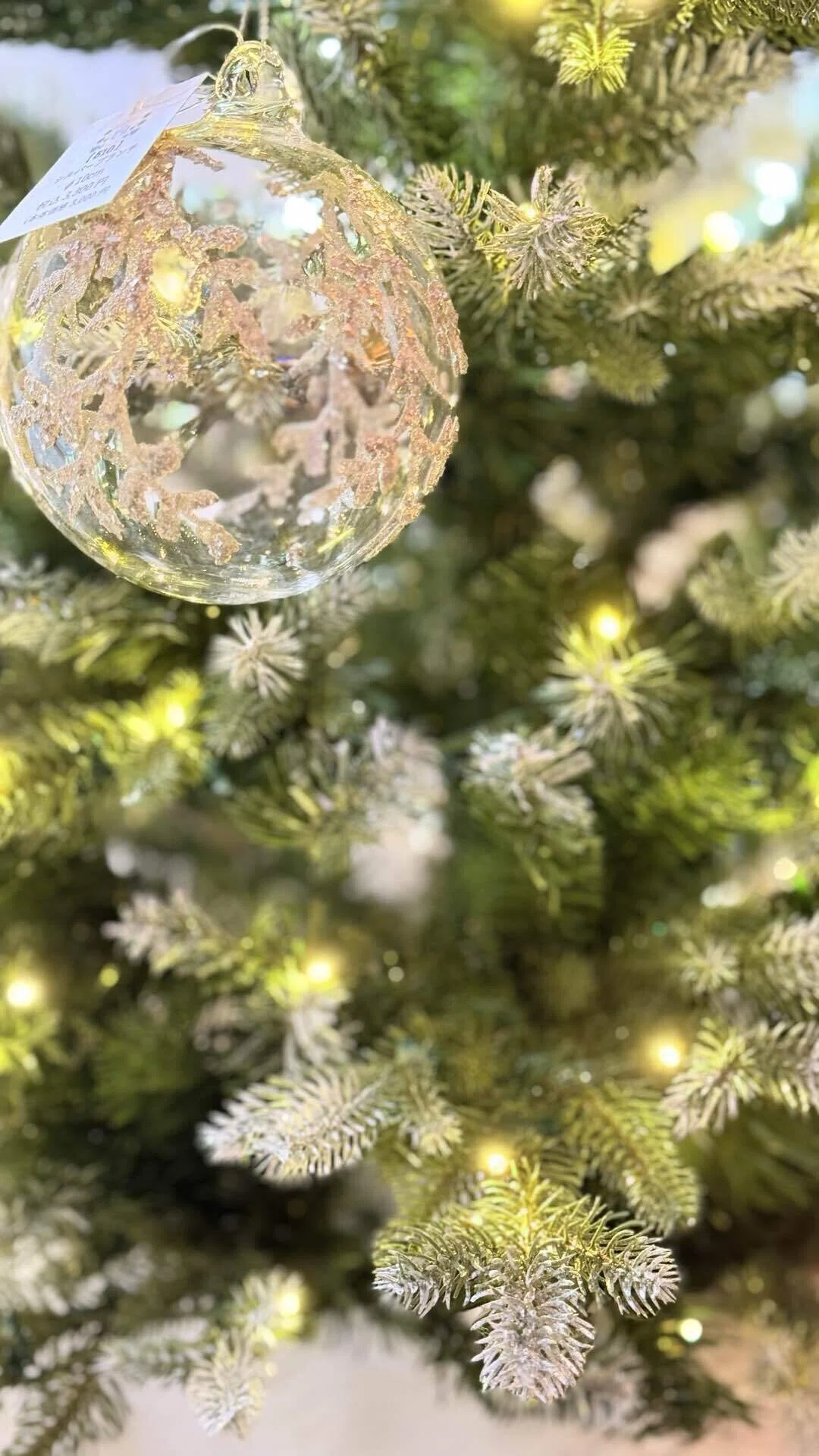 自分の意思だと思った？ ヴィクトリア朝時代のクリスマスが発揮する