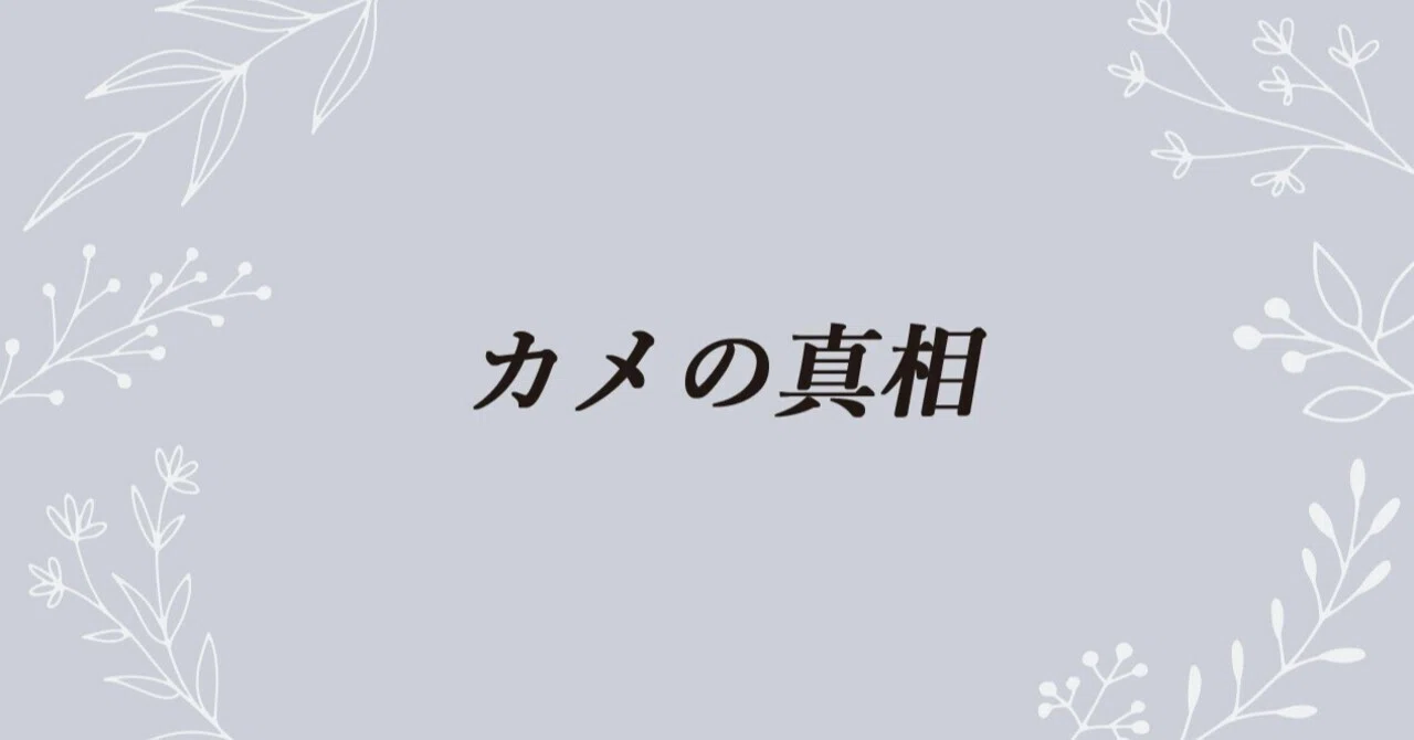Solving the Mystery of the Turtle (Time and Eternity)｜レン岩根央（企業～個人）｜人が動く ...